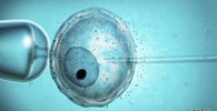 Utilização de material genético de falecido para fertilização in vitro depende de autorização formal